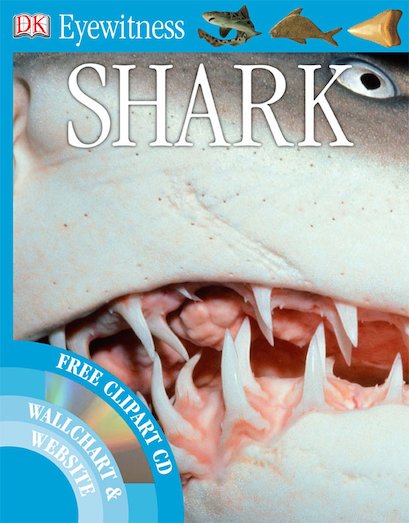 Eyewitness Shark Scholastic Kids Club