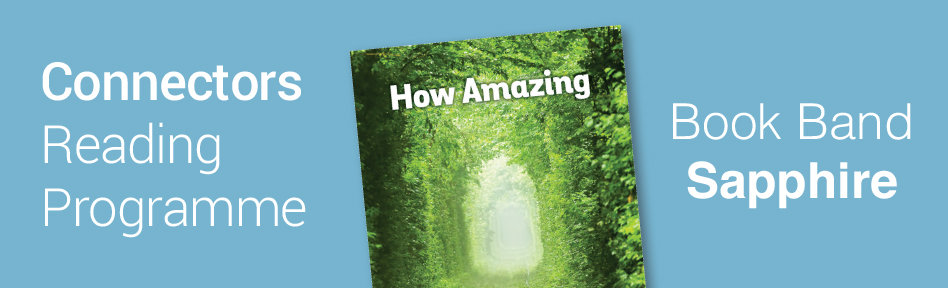 connectors_sapphire_page_banner.jpg