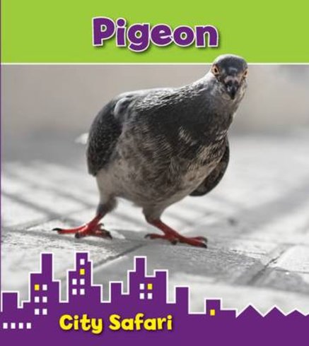 City Safari: Pigeon
