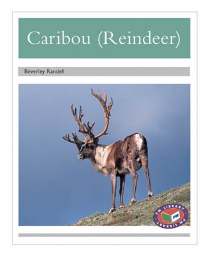 Caribou (Reindeer) (PM Non-fiction) Levels 23, 24 x 6