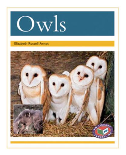 PM Gold: Owls (PM Non-fiction) Level 22 x 6