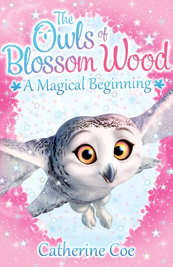 The Owls of Blossom Wood - A Magical Beginning
