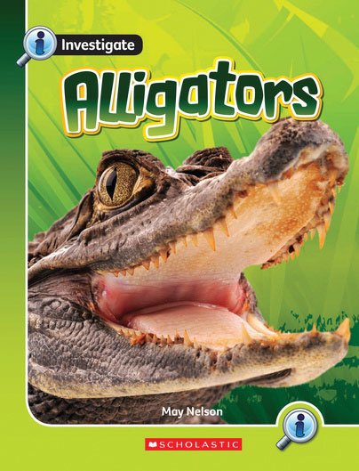 Investigate: Alligators x 6