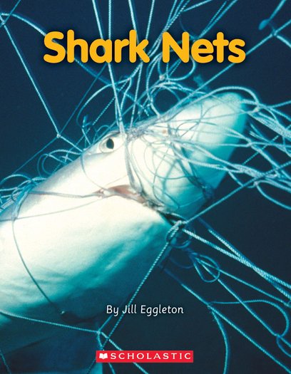 Connectors Orange: Shark Nets x 6