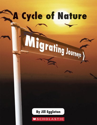 Connectors Ages 11+: A Cycle of Nature - Migrating Journeys x 6