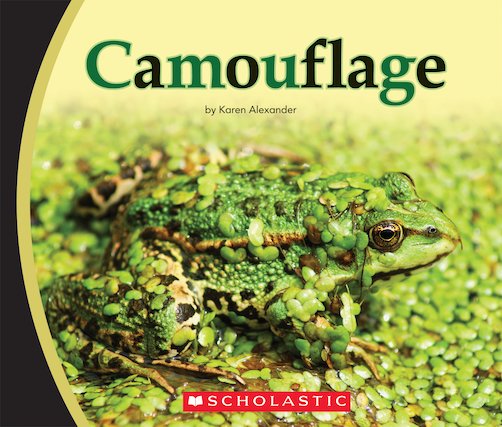 Guided Readers: Camouflage x 6
