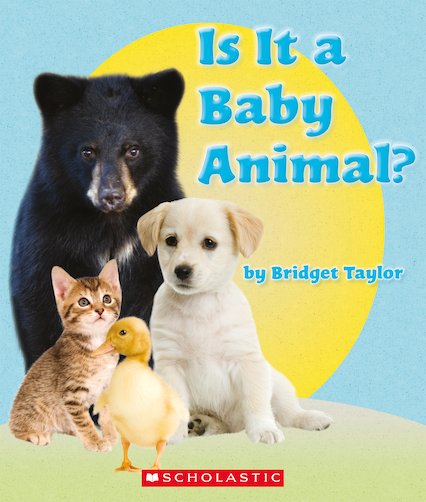 Guided Readers: Is It a Baby Animal? x 6