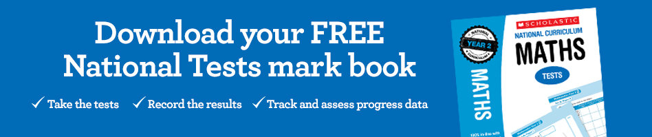 National Curriculum Test banner