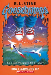 How I Learned to Fly