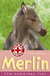 Animal Rescue: Merlin the Homeless Foal
