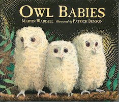 Owl Babies (Board Book)