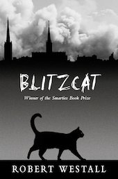 Blitzcat