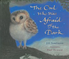 The Owl Who Was Afraid of the Dark (Picture Book)