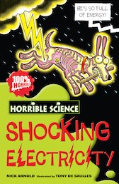 Shocking Electricity