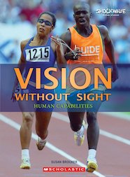 Vision without Sight