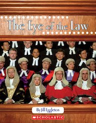 Connectors: The Eye of the Law x 6
