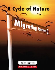 Connectors: A Cycle of Nature - Migrating Journeys x 6