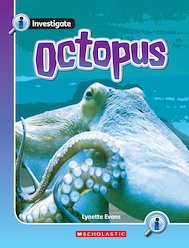 Octopus