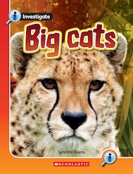 Big Cats