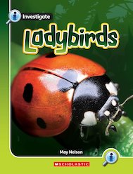 Ladybirds