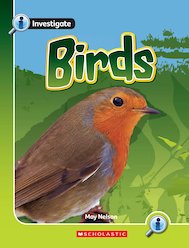 Birds