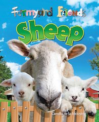 Farmyard Friends: Sheep