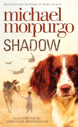 Shadow