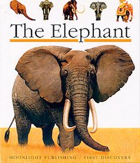 First Discovery: The Elephant