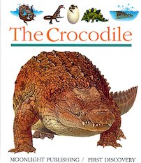 First Discovery: The Crocodile