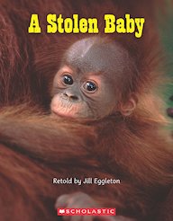 Connectors: A Stolen Baby x 6