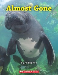 Connectors: Almost Gone x 6