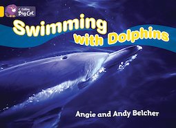 Swimming With Dolphins