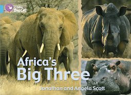 Africa's Big Three