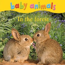 Baby Animals: In the Forest