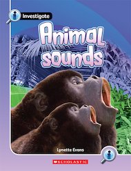 Animal Sounds