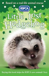 Little Lost Hedgehog
