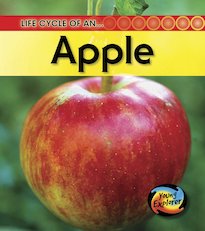 Young Explorer: Life Cycle of an Apple