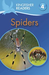 Spiders (Level 4)