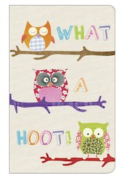 What a Hoot! Notebook