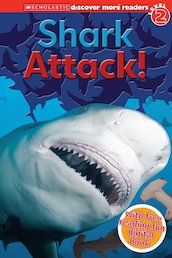 Shark Attack!