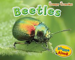 Creepy Crawlies: Beetles