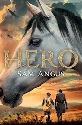 Hero