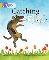 Catching Flies (Book Band Gold/9)