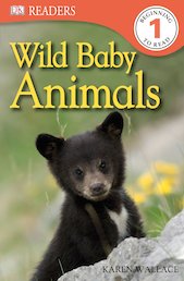 Wild Baby Animals