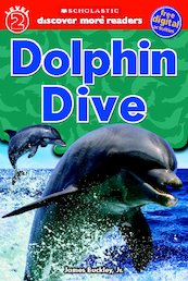 Dolphin Dive