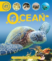 Life Cycles: Ocean