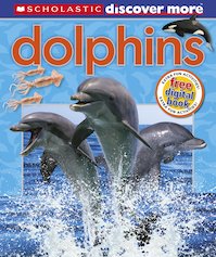 Dolphins