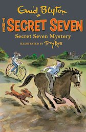 Secret Seven Mystery