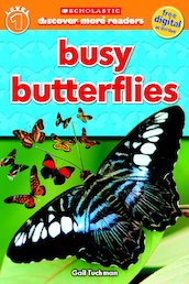 Busy Butterflies