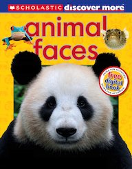Animal Faces